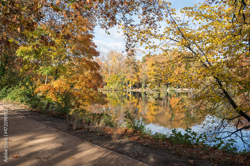 Le lac du parc de la t  te d or en automne  couleurs d automne  Lyon  France