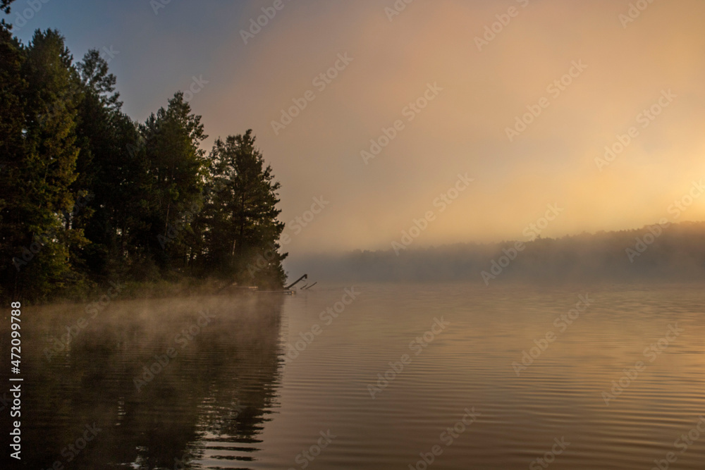 Fototapeta premium Fog unites