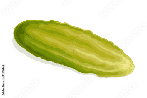 Pickled Cucumber or Gherkin Isolated on White Background Vector Illustration