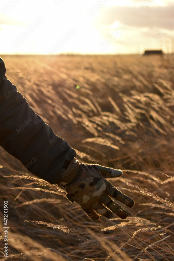 Obraz premium Gentle hands bathe in the rays of the setting sun on an autumn evening.