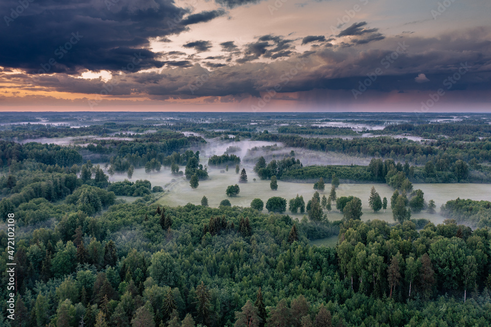Aerial view of foggy forest at colorful sunset