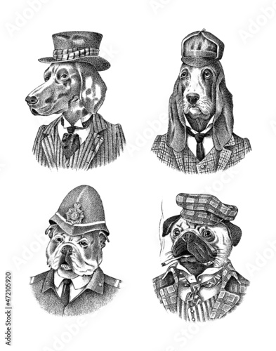 Bloodhound and German Shorthaired Pointer. Pug dog smokes a cigar. English Bulldog in police suit. Fashion Animal character in clothes. Hand drawn sketch. Vector engraved illustration for label