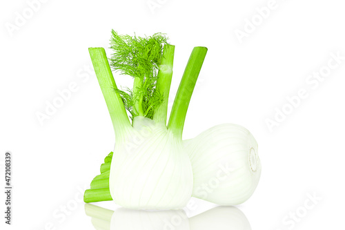 Two fennel isolated on the white background.