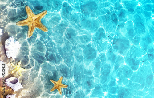 Starfish, coral and seashell on the summer beach in sea water. Summer background.