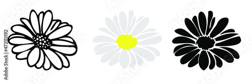 Daisy flower head set , hand drawn illustation , isolate on white backgrond