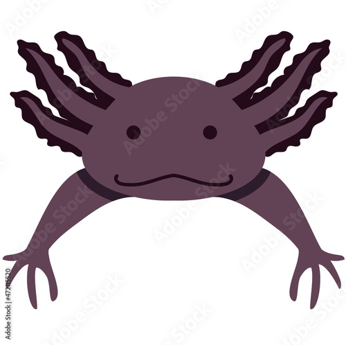 Vector Axolotl cutáneo (Ambystoma mexicanum), ajolote negro, ilustración digital © Aldadeyta