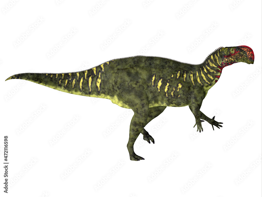 Altirhinus Herbivore Dinosaur - Altirhinus was a duck-billed iguanodon dinosaur that lived in Mongolia during the Cretaceous Period. Altirhinus Herbivore Dinosaur - Altirhinus was a duck-billed iguanodon dinosaur that lived in Mongolia during the Cretaceous Period.