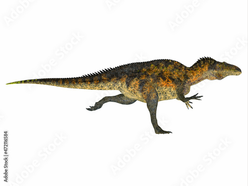 Acrocanthosaurus Dinosaur Running - Acrocanthosaurus was a carnivorous theropod dinosaur that lived in North America during the Cretaceous Period. © Catmando