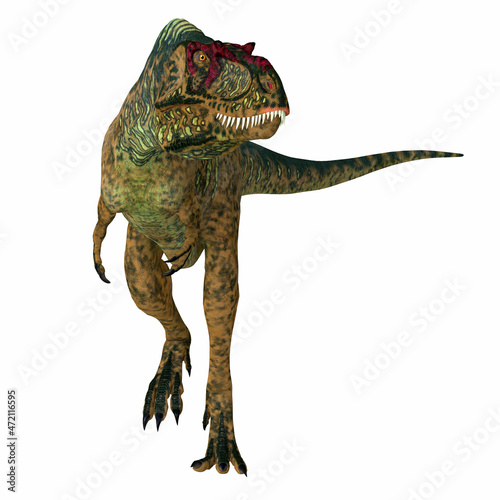 Albertosaurus Dinosaur Predator - Albertosaurus was a carnivorous theropod dinosaur that lived in North America during the Cretaceous Period. © Catmando