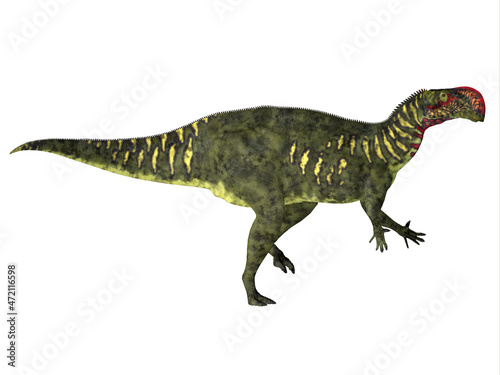 Altirhinus Herbivore Dinosaur - Altirhinus was a duck-billed iguanodon dinosaur that lived in Mongolia during the Cretaceous Period. © Catmando
