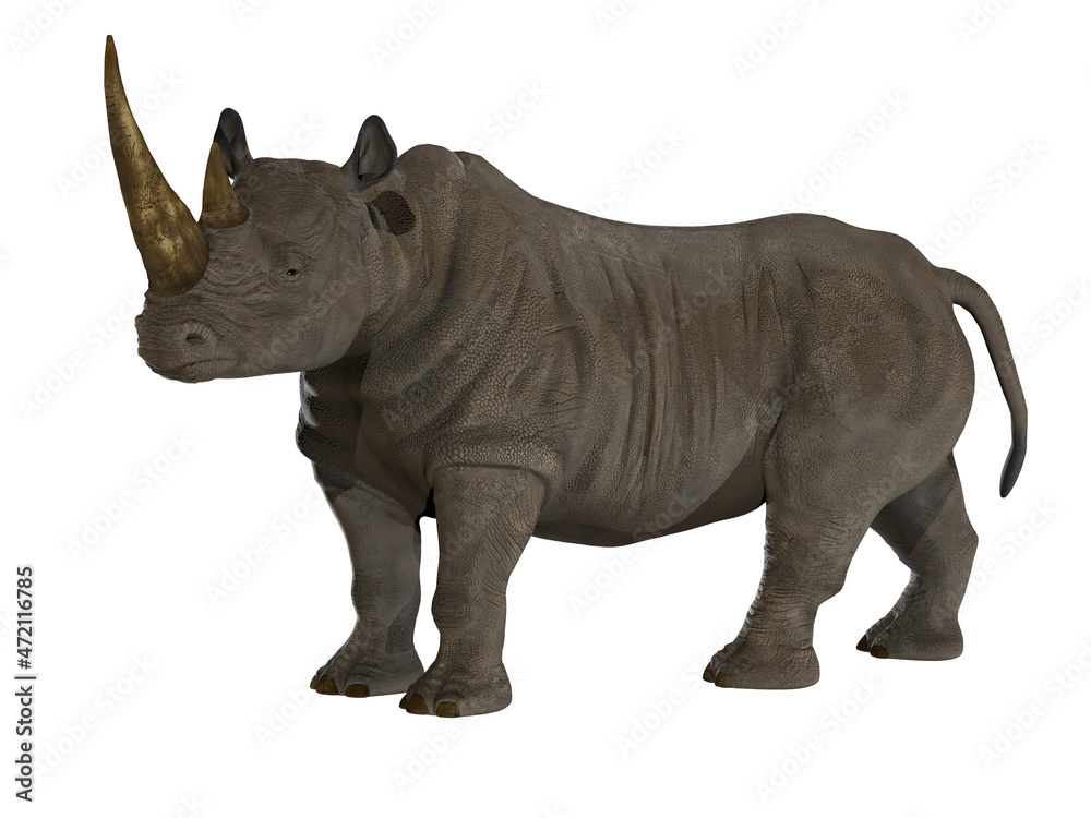 Rhinoceros Side Profile - The Rhinoceros is a thick-skinned horned mammal that lives in Africa, India and Asia.