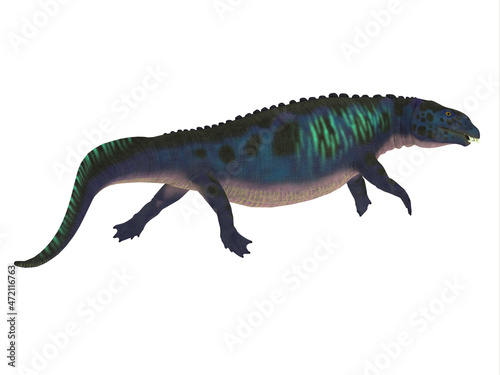 Placodus Triassic Reptile - Placodus was a marine carnivorous reptile that lived in the seas of China and Europe during the Triassic Period.