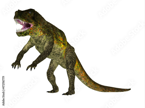 Postosuchus Reptile Jaws - Postosuchus was a carnivorous reptile that lived in North America during the Triassic Period. © Catmando