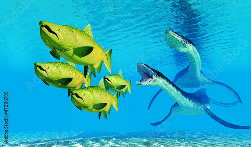 Plesiosaurus hunt Salmon - Atlantic Salmon fish flee from predatory Plesiosaurus reptiles hunting them. photo