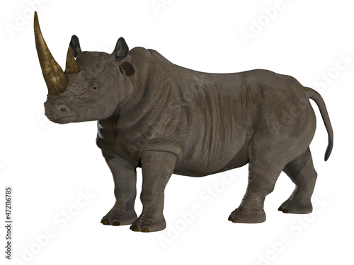 Rhinoceros Side Profile - The Rhinoceros is a thick-skinned horned mammal that lives in Africa  India and Asia.