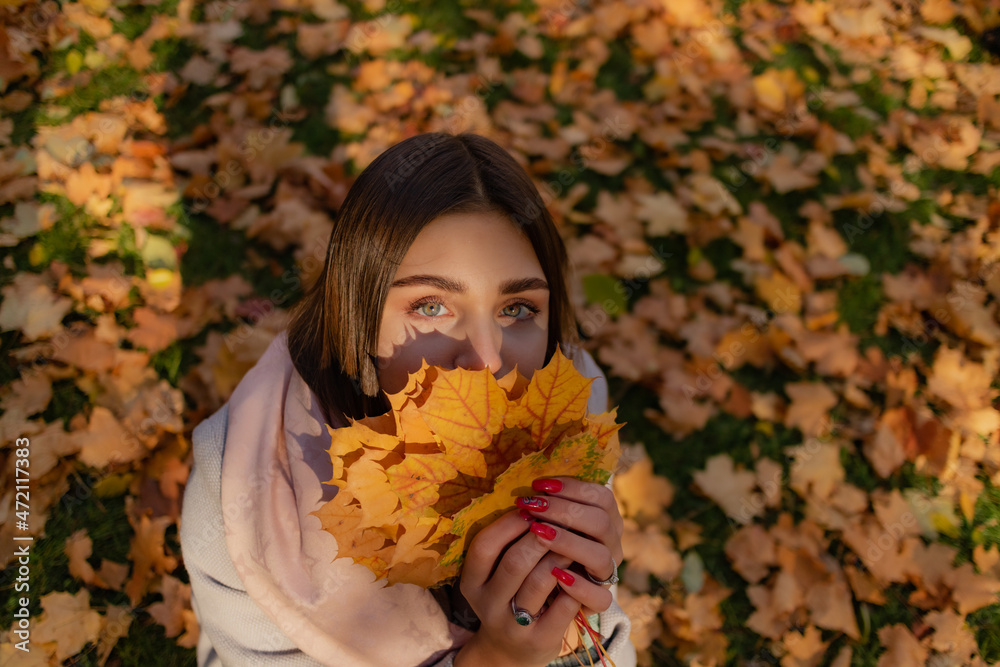cute brunette in a beige coat with leaves in her hands on a background of autumn leaves cute brunette in a beige coat with leaves in her hands on a background of autumn leaves