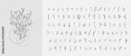 Canvas Floral branch and minimalist flowers for logo or tattoo