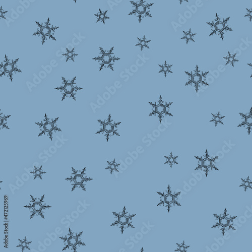 Microscope snowflakes on light blue
