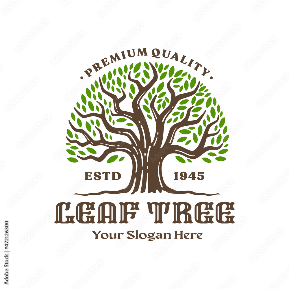 Tree logo template, vintage logo design. vector illustration
