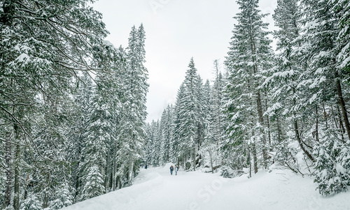 View of the nearby mountains follows the road to the Sea Eye in winter, Zakopane