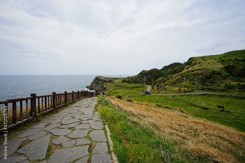 a wonderful walkway at seaside cliff