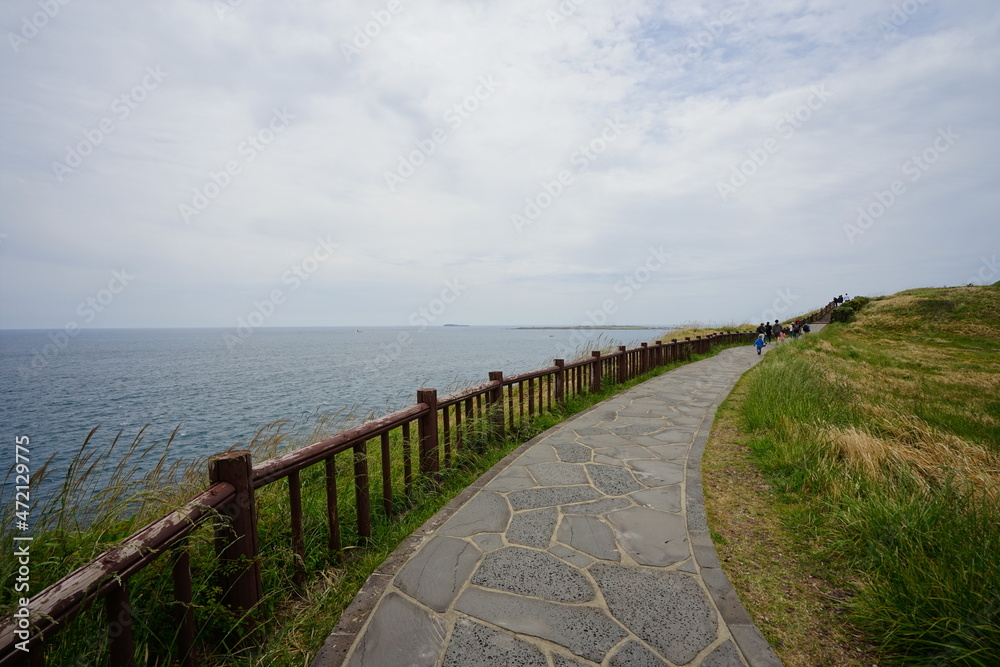 a wonderful walkway at seaside cliff