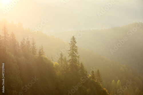 Amazing view of beautiful foggy mountains in morning
