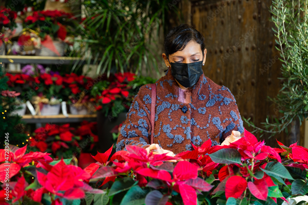 Portrait of woman in protective mask chooses flowers Poinsettias pulcherrima in flower shop