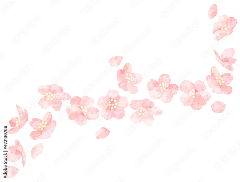 水彩風に加工した桜の花のイラスト