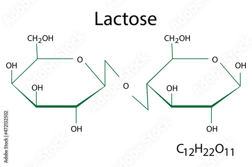Lactose chemical formula. Science element. Molecular structure. Organic compound. Vector illustration. Stock image.