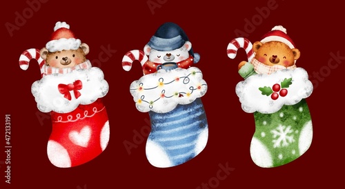 Set of bear in the Christmas socks 
