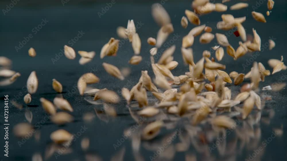 SLOW MOTION, MACRO, DOF: A mixture of linseeds and dried grains gets scattered across shiny black table. Tiny seeds and grain falling onto the glossy countertop. Organically grown flaxseed and wheat. SLOW MOTION, MACRO, DOF: A mixture of linseeds and dried grains gets scattered across shiny black table. Tiny seeds and grain falling onto the glossy countertop. Organically grown flaxseed and wheat.