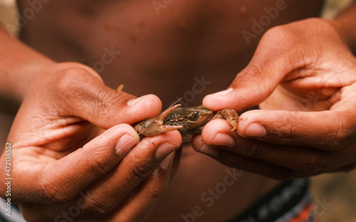 Photo Taino kid with crab in hand