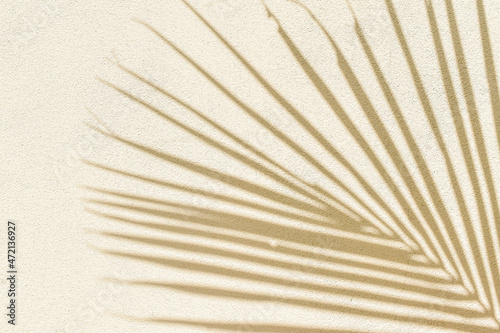 palm leaf shadow on beige concrete wall background texture