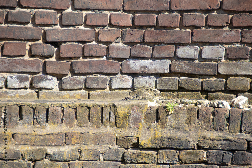 Naklejka premium Backsteinmauer