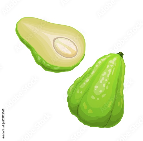 Isolated raw chayote vegetable plant. Full and sliced in half ripe sayote , exotic fruit vector icon. Healthy organic choko or mirliton fruit, vegetarian food tropical vegetable photo