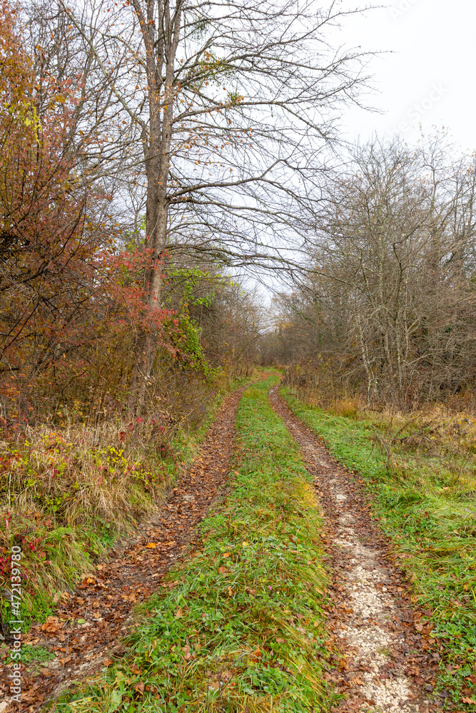 Travel through the autumn foothill park in nature, observing the natural changes in the life of plants and trees. Travel through the autumn foothill park in nature, observing the natural changes in the life of plants and trees.