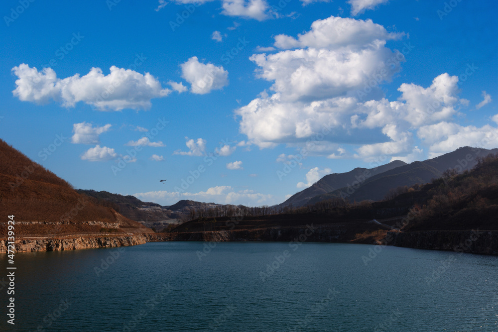 Obraz premium 대나무 풍경