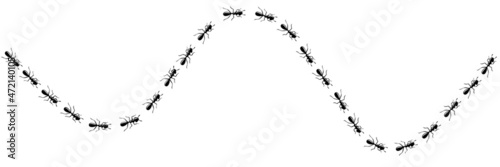 Worker ants trail curve. Ant path isolated in white background. Vector illustration © liu_miu