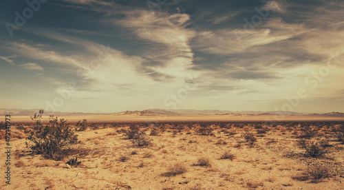 California Mojave Desert Raw Landscape