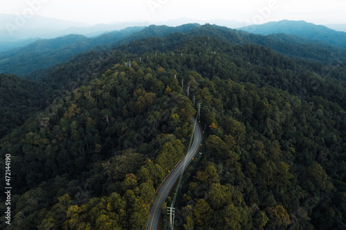 Drone view over a road through a forest