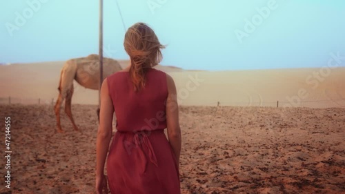 Europian girl blonde hair wondering Dubai Abu Dhabi desert with camels standing, Medium shot, wathba desert, United Arab emirates photo