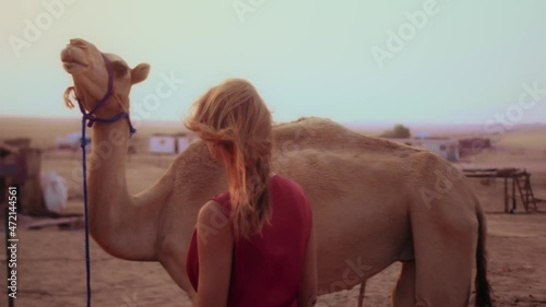 Epic shot for a girl walking towards a camel in the desert, united Arab emirates desert, camels of UAE photo