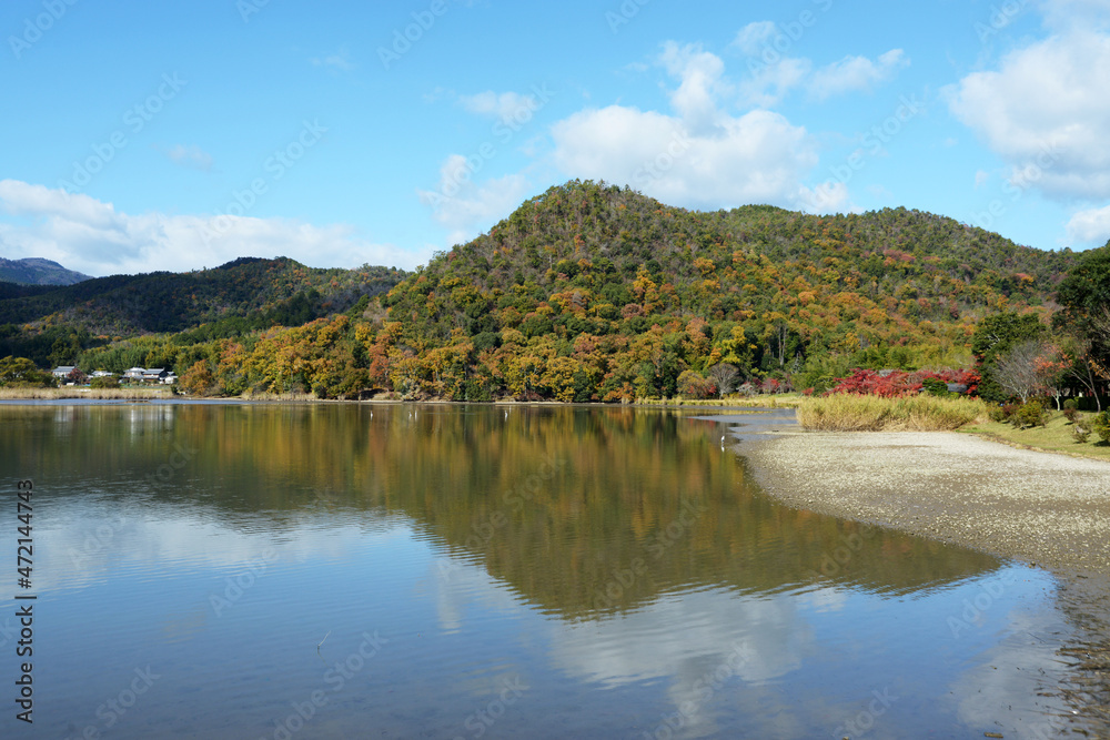 Fototapeta premium 秋の広沢池 京都市右京区嵯峨
