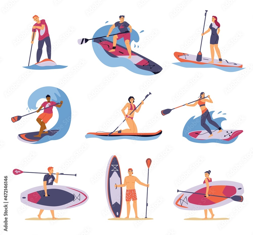 People practising stand up paddle surfing, flat vector illustration isolated.