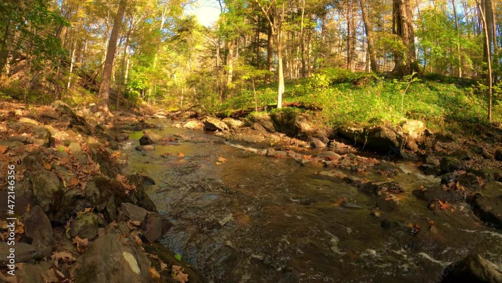 Time lapse of a beautiful woodland stream during spring in the Appalachian mountains. In particular, this is in the Catskill mountain subrange, in new york, and is popular for trout fishing Time lapse of a beautiful woodland stream during spring in the Appalachian mountains. In particular, this is in the Catskill mountain subrange, in new york, and is popular for trout fishing