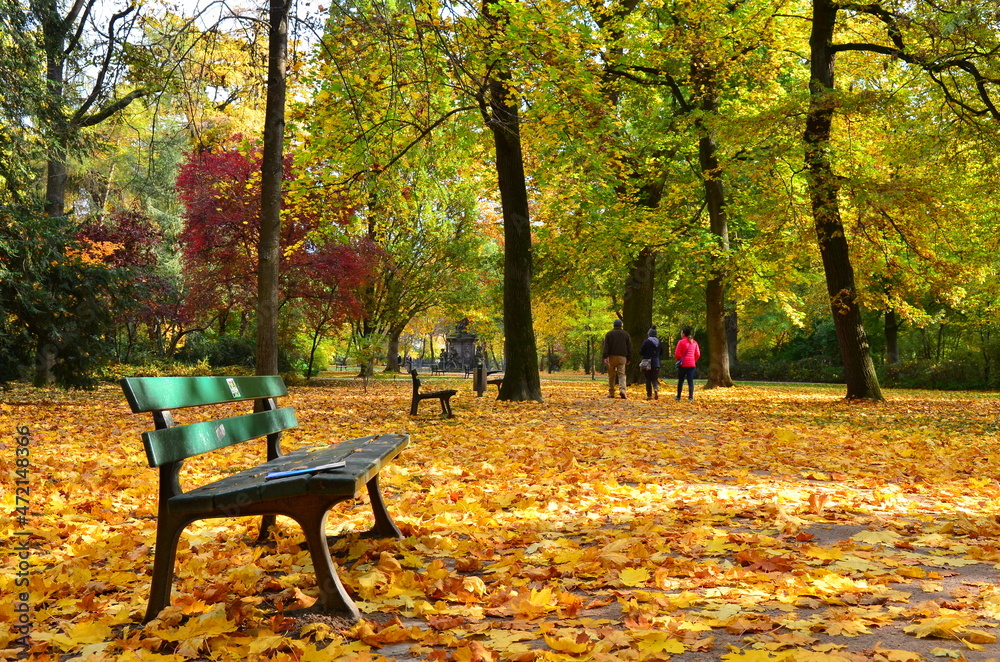 autumn view in the park