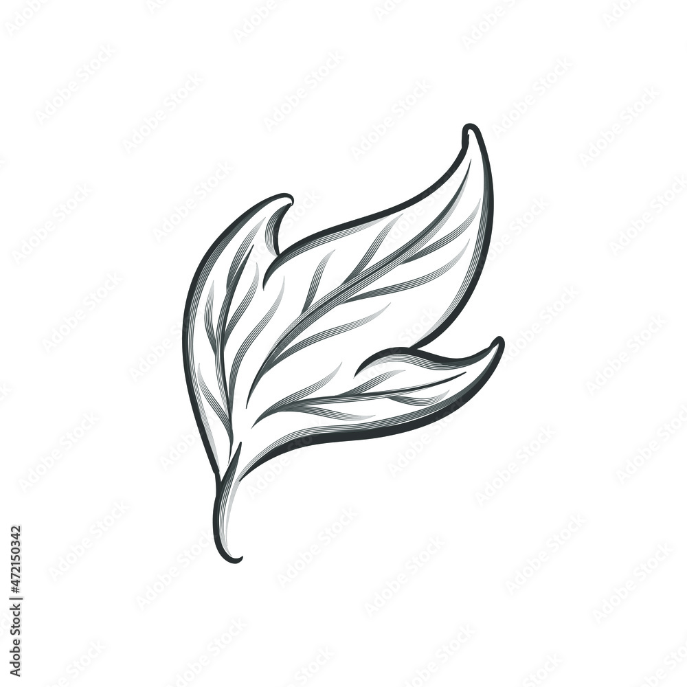 Floral Leaves Swirl Ornament Lines Vector Decoration 