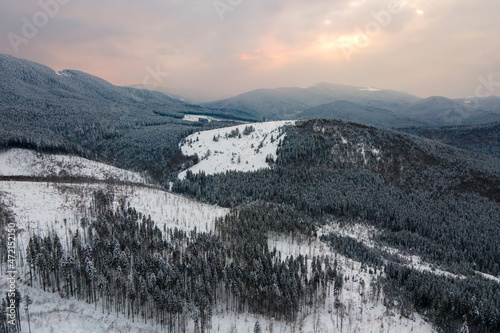 Aerial winter landscape with spruse trees of snow covered forest in cold mountains in the evening