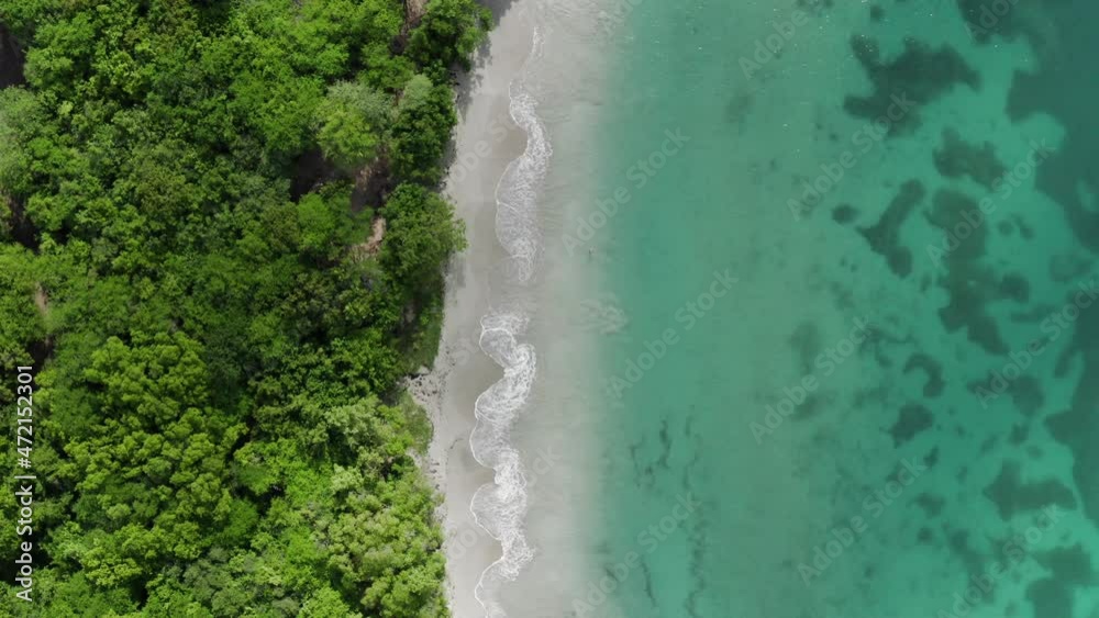 Aerial view of woman floating and swimming in amazing turquoise clear water in caribbean beach. Martinique pointe Marin. Travel video footage. Aerial view of woman floating and swimming in amazing turquoise clear water in caribbean beach. Martinique pointe Marin. Travel video footage.
